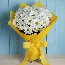 Букет цветов из:  Хризантемы в Железноводске