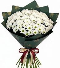 Букет цветов из:  Хризантемы #REPLACE_PRED# Железноводске