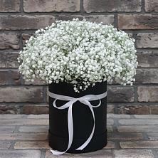 Цветочная композиция из Гипсофила в шляпной коробке в Железноводске