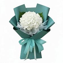 Букет цветов из:  Гортензия в Железноводске
